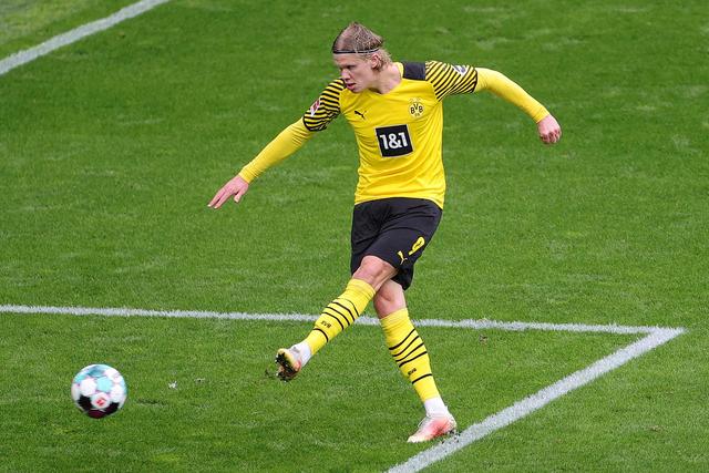 系统的康复 系统的康复